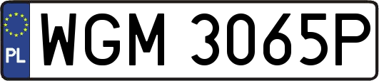 WGM3065P