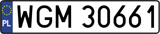 WGM30661