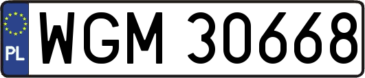 WGM30668