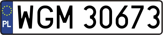 WGM30673