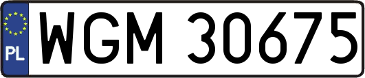 WGM30675