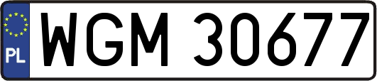 WGM30677