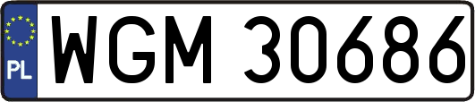 WGM30686
