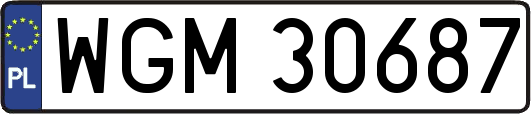 WGM30687