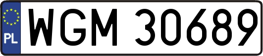 WGM30689