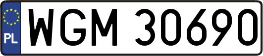 WGM30690
