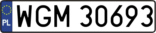 WGM30693