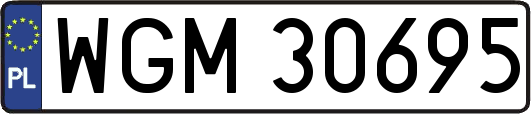 WGM30695