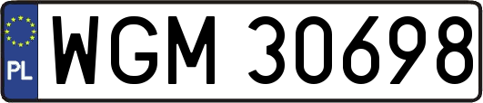 WGM30698