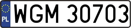 WGM30703