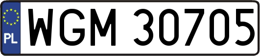 WGM30705