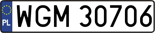 WGM30706