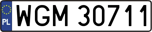 WGM30711