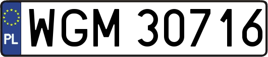 WGM30716