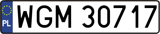 WGM30717