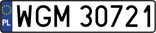 WGM30721