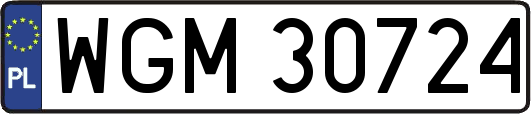 WGM30724
