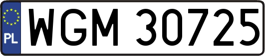 WGM30725
