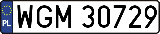 WGM30729