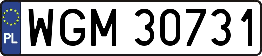 WGM30731