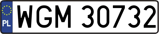 WGM30732