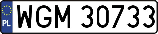 WGM30733