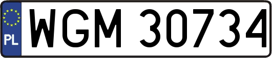 WGM30734