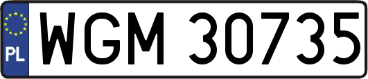 WGM30735