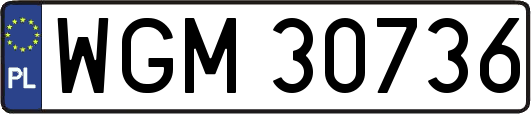 WGM30736