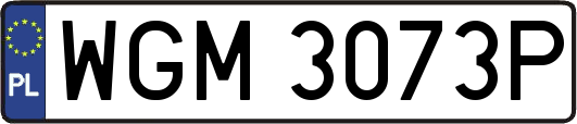 WGM3073P
