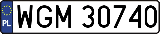 WGM30740