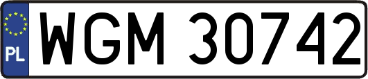 WGM30742