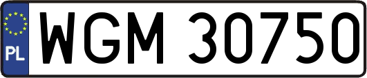 WGM30750