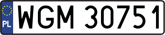 WGM30751