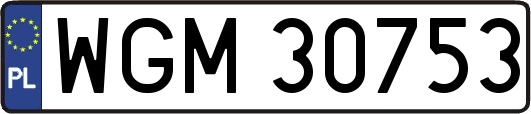 WGM30753