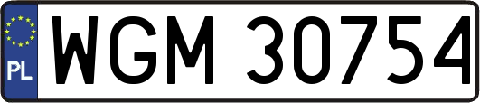 WGM30754