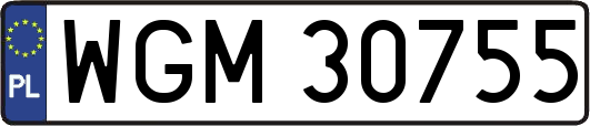 WGM30755