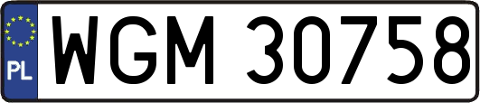 WGM30758