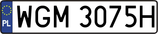 WGM3075H