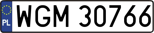 WGM30766