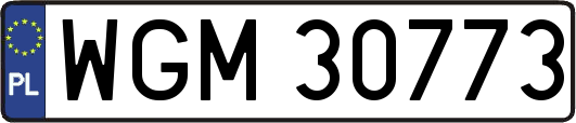 WGM30773