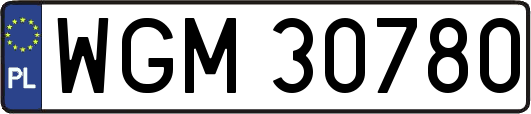 WGM30780