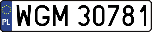 WGM30781