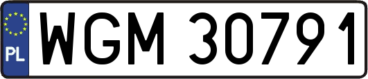 WGM30791