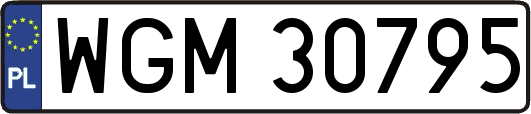 WGM30795