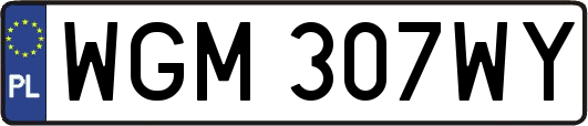 WGM307WY