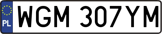 WGM307YM