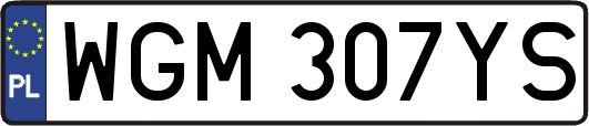 WGM307YS