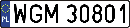 WGM30801