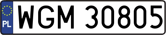 WGM30805
